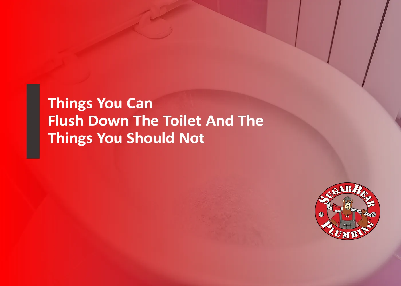 642a8276164f5f3b252d5062_Things You Can Flush Down The Toilet And The Things You Should Not - Main